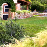 Garden arch in a stone wall, cool lawn, and fountain grass